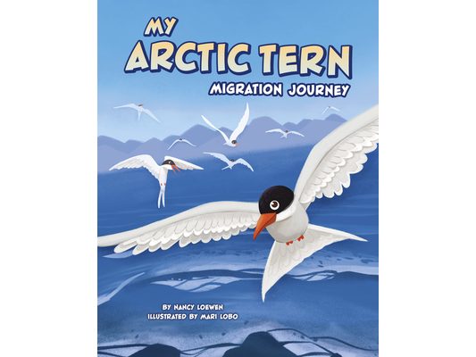 My Arctic Tern Migration Journey