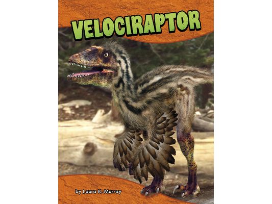 Velociraptor