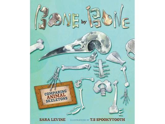 Bone by Bone: Comparing Animal Skeletons