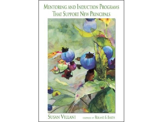 Mentoring and Induction Programs That Support New Principals