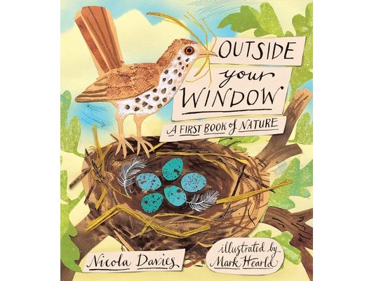 Outside Your Window: A First Book of Nature