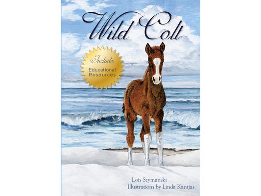 Wild Colt