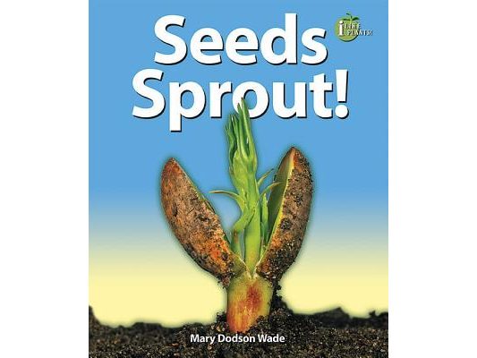Seeds Sprout!