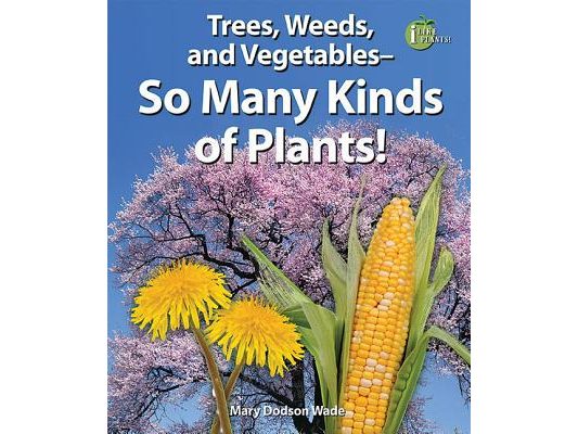 Trees, Weeds, and Vegetables: So Many Kinds of Plants!