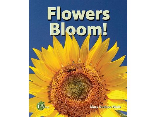 Flowers Bloom!