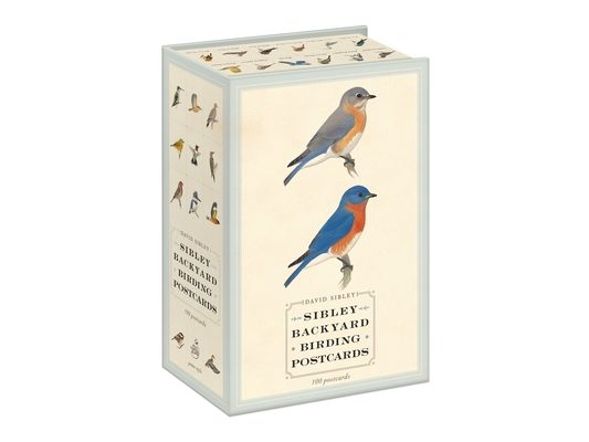 Sibley Backyard Birding Postcards: 100 Postcards
