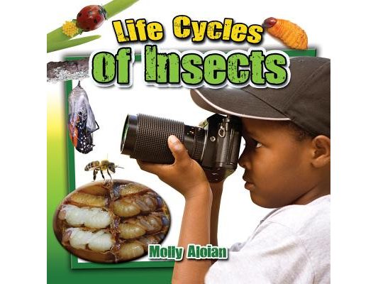 Life Cycles of Insects