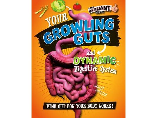 Your Growling Guts and Dynamic Digestive System