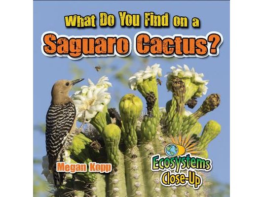 What Do You Find on a Saguaro Cactus?