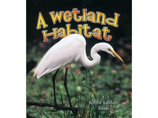 A Wetland Habitat