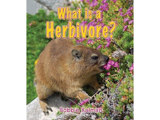 What Is a Herbivore?