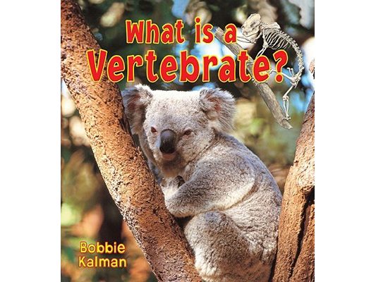 What Is a Vertebrate?