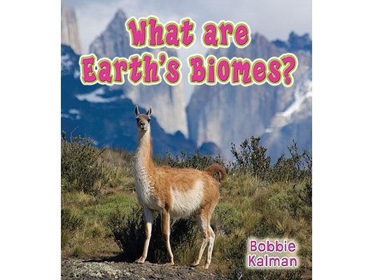 What Are Earth's Biomes?