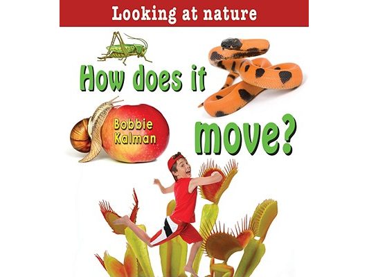 How Does It Move?