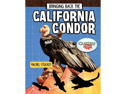 Bringing Back the California Condor