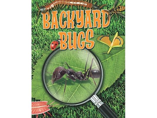 Backyard Bugs