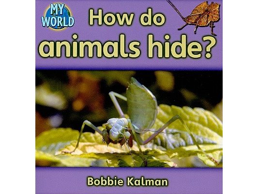 How Do Animals Hide?