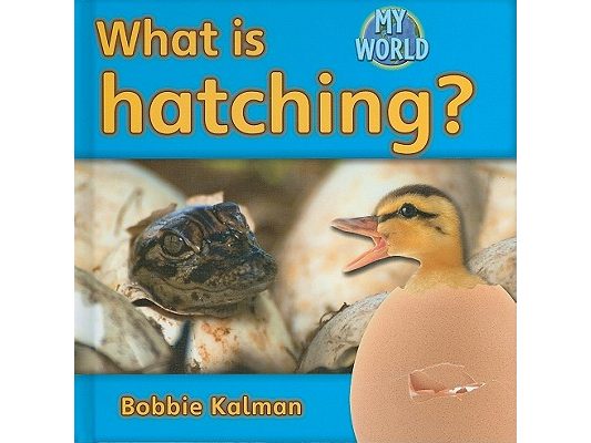What Is Hatching?
