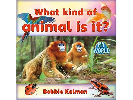 What Kind of Animal Is It?