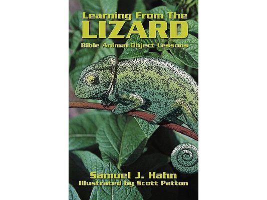 Learning from the Lizard