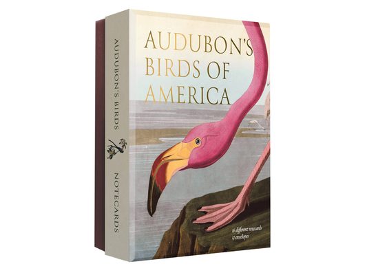 Audubon's Birds of America: An Abbeville Notecard Set