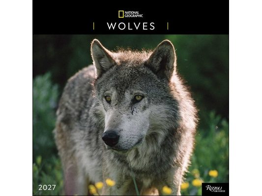 National Geographic: Wolves 2027 Wall Calendar
