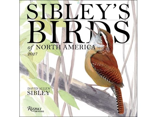 Sibley's Birds of America 2027 Wall Calendar