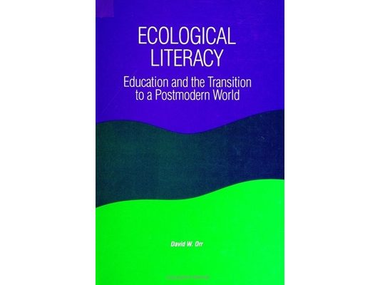 Ecological Literacy: Education and the Transition to a Postmodern World