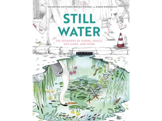 Still Water: The Wonders of Ponds, Pools, Wetlands, and More