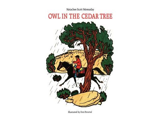 Owl in the Cedar Tree
