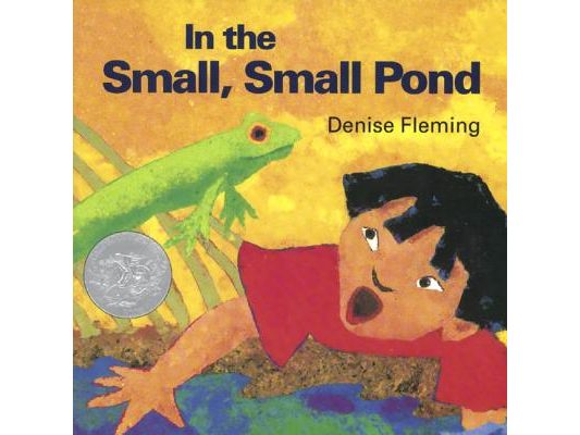 In the Small, Small Pond