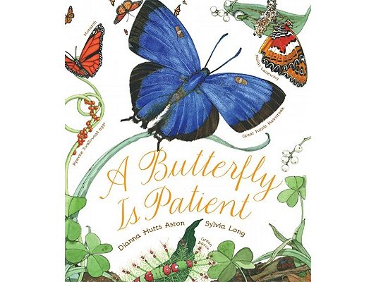 A Butterfly Is Patient