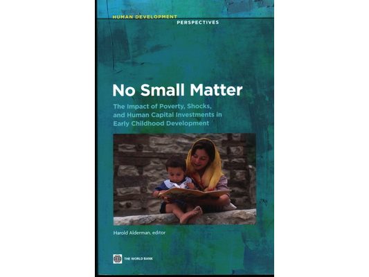 No Small Matter: The Impact of Poverty, Shocks, and Human Capital Investments in Early Childhood Development