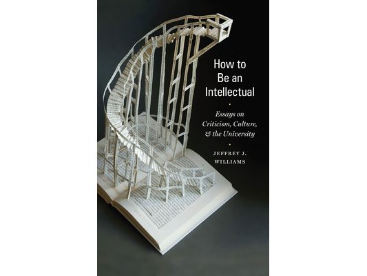 How to Be an Intellectual: Essays on Criticism, Culture, and the University