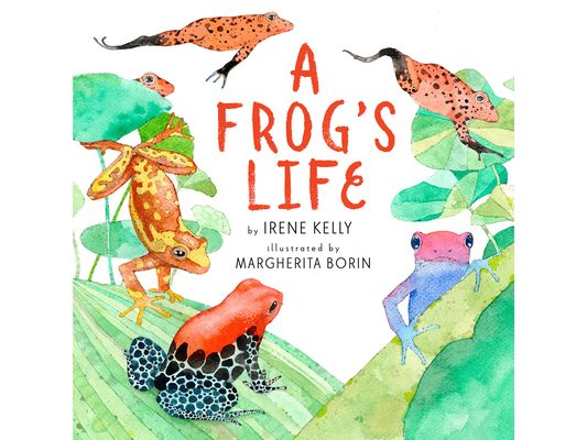 A Frog's Life