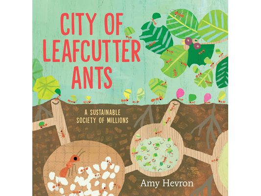 City of Leafcutter Ants: A Sustainable Society of Millions