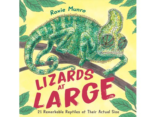 Lizards at Large: 21 Remarkable Reptiles at Their Actual Size
