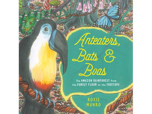 Anteaters, Bats & Boas: The Amazon Rainforest from the Forest Floor to the Treetops