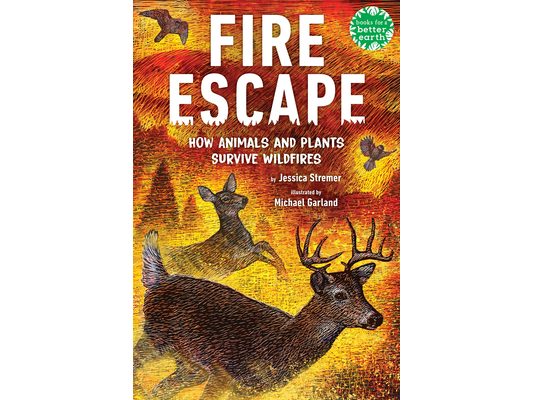 Fire Escape: How Animals and Plants Survive Wildfires
