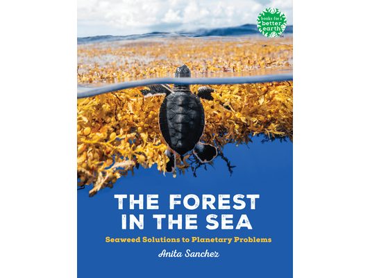 The Forest in the Sea: Seaweed Solutions to Planetary Problems