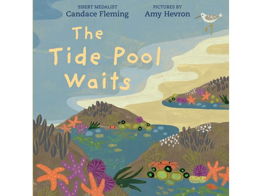 The Tide Pool Waits