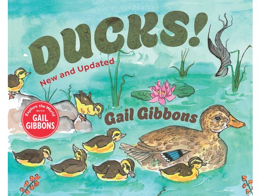 Ducks! (New & Updated)