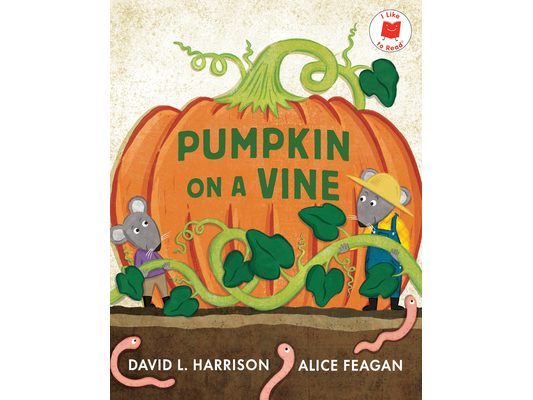 Pumpkin on a Vine