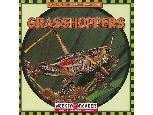 Grasshoppers