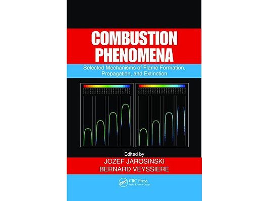 Combustion Phenomena: Selected Mechanisms of Flame Formation, Propagation, and Extinction [With CDROM]