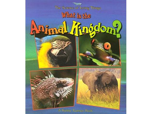 What Is the Animal Kingdom?
