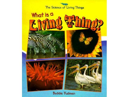 What Is a Living Thing?