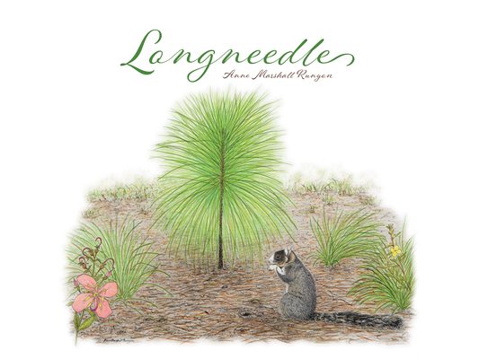 Longneedle