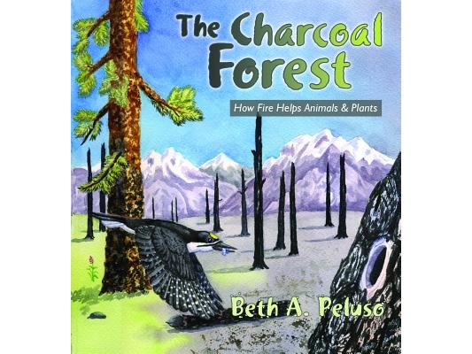 The Charcoal Forest: How Fire Helps Animals and Plants