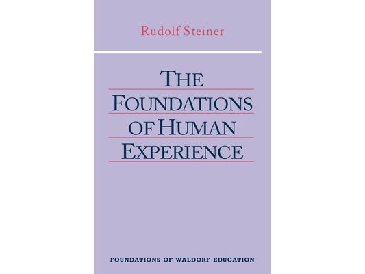 The Foundations of Human Experience: (Cw 293 & 66) Volume 1
